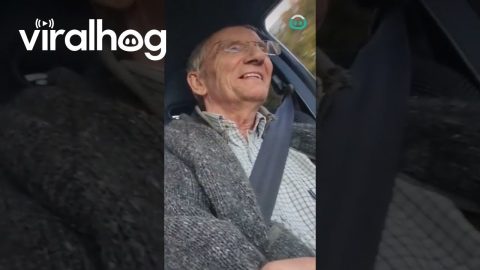 Kind Neighbour Takes Man With Dementia On Drive || ViralHog