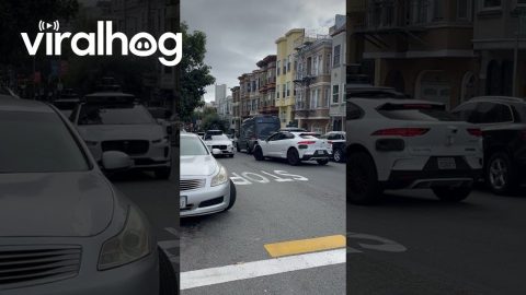 Driverless Car Standoff in San Francisco || ViralHog