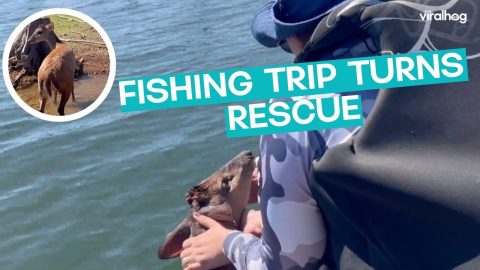 These Fishermen Come Back With More Than Fish || ViralHog