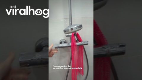 I'm No Plumber, But This Doesn't Seem Right || ViralHog