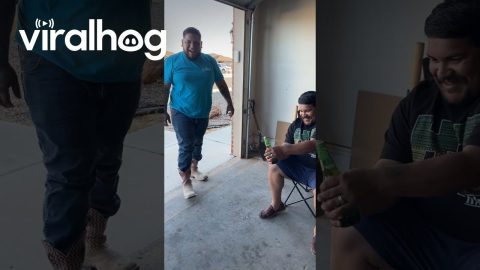 Opening a Bottle With a Kick || ViralHog
