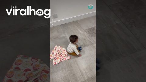 This Toddler Is Well Trained To Clean || ViralHog