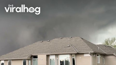 Tornado Hits Blair, Nebraska || ViralHog