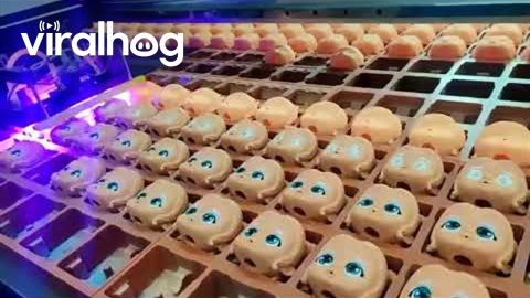 Machine Prints Eyes on Toy Doll Heads || ViralHog
