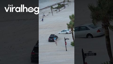 Pass-a-Grille Beach After the Hurricane || ViralHog