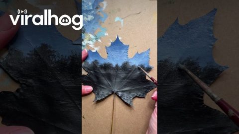 “Guiding Ghost” Painted on a Preserved Maple Leaf || ViralHog