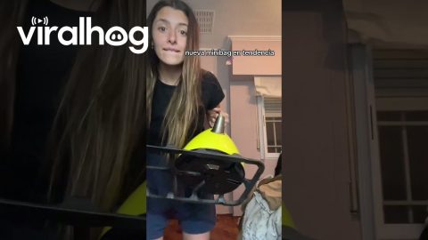 New Trending Mini Bag || ViralHog