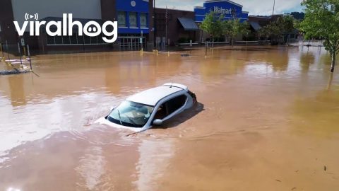 Hurricane Helene Destruction in Asheville, North Carolina || ViralHog