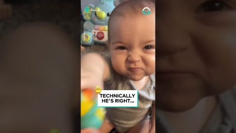 This Baby Knows Their Animal Sounds || ViralHog