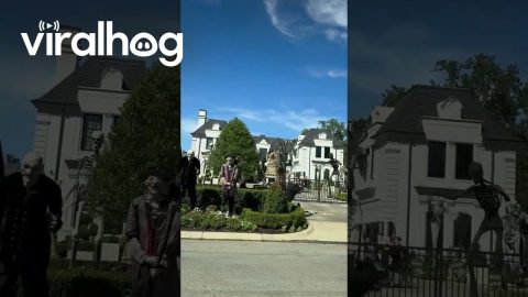 Dallas House Goes All Out for Halloween || ViralHog