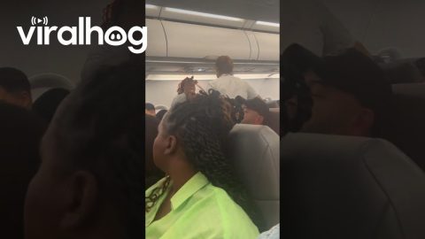 Airline Passenger Goes on Bizarre Rant || ViralHog