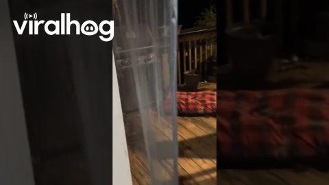Late Night Turkey On The Grill || ViralHog