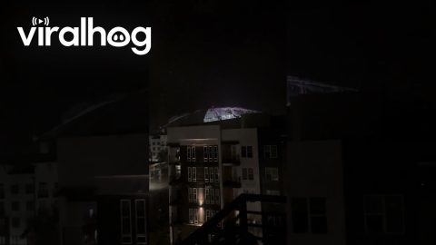 Tropicana Field Dome Shredded By Hurricane Milton || ViralHog