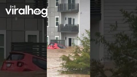 Open Door Apartment Complex Flooding || ViralHog