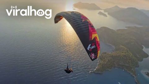 Man Leaves Shoes On Friend's Open Parachute || ViralHog