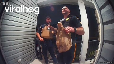 Cops Complete Food Delivery After Driver Is Arrested || ViralHog