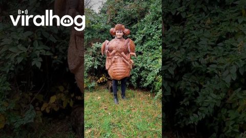 Paper Mache Cicada Shell Costume || ViralHog