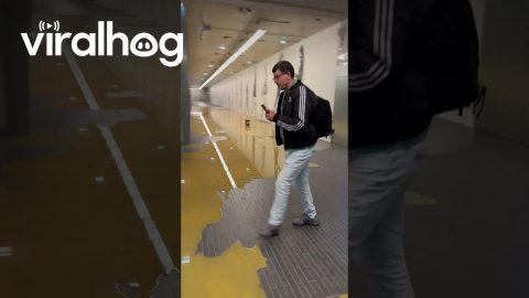 Paris Metro Suffers a Leak || ViralHog