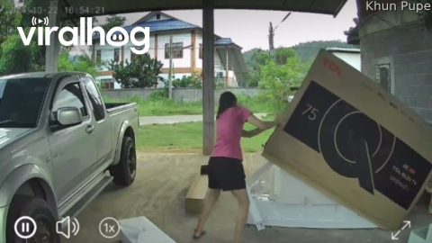 Woman Startled By Lizard Hiding in TV Box || ViralHog