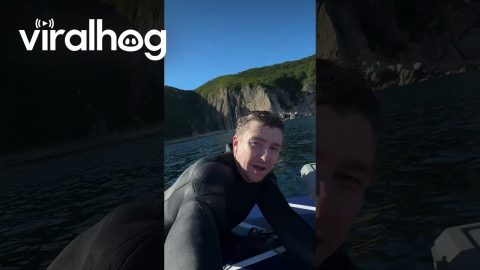Paddleboarder Meets CGI Whale || ViralHog