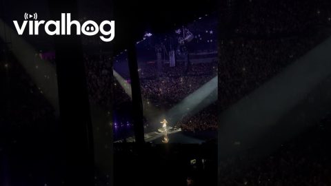 Olivia Rodrigo Falls Into Hole on Stage in Melbourne || ViralHog