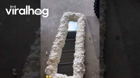 Spray Foam Mirror DIY Fail || ViralHog