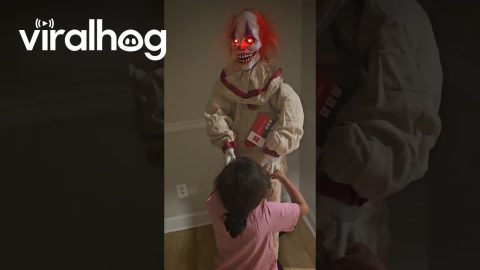 Daughter Loves Creepy Clown || ViralHog