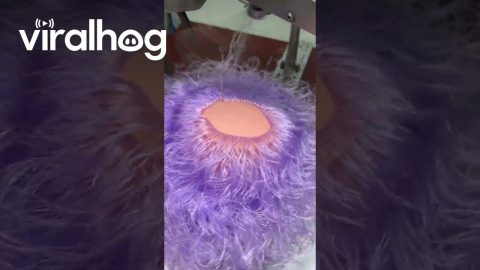 Doll Heads Have Hair Sewn On Automatically || ViralHog