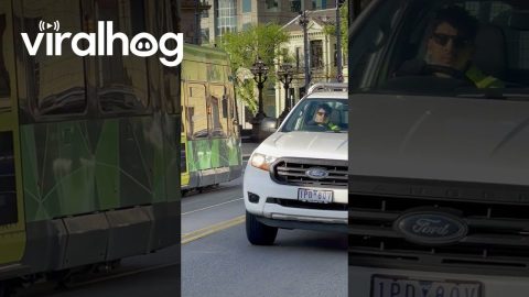 Man Stops Traffic For Crossing Ducks || ViralHog