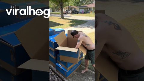 What's Inside Each Walmart Box? || ViralHog