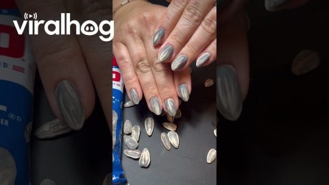 Sunflower Seed Nails || ViralHog