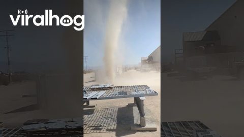 Workers Get Caught in a Dust Devil || ViralHog