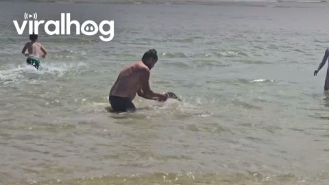 Bare-Handed Man Dives To Catch Fish || ViralHog