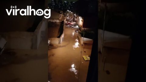 Flash Flooding Causes Cars to Pile Up in Valencia || ViralHog