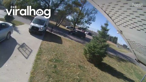 Delivery Driver Tries to Cover Up Mailbox Damage || ViralHog