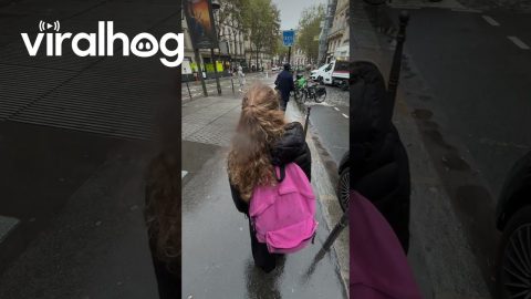 Umbrella Escapes Ownership || ViralHog