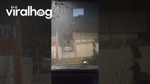 Woman Slips and Falls During Rainstorm || ViralHog