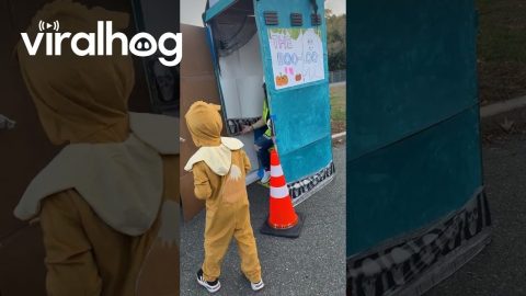 Trick or Treat at the Boo-Loo || ViralHog