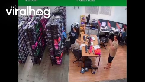Sliding Chair Knocks Over Rows And Rows Of Shelves || ViralHog