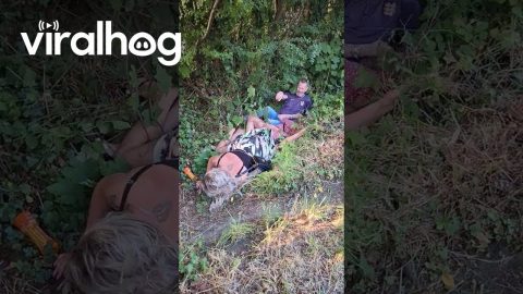 Everybody Accidentally Rolls Into Ivy Ditch || ViralHog