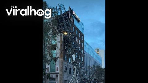 Hurricane Milton Knocks Down Construction Crane || ViralHog