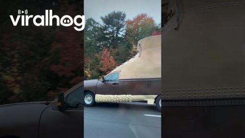 L.L.Bean Bootmobile Sighting || ViralHog