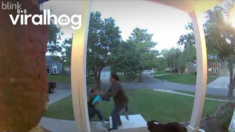 Get To The Grass Stumble Down Stairs || ViralHog