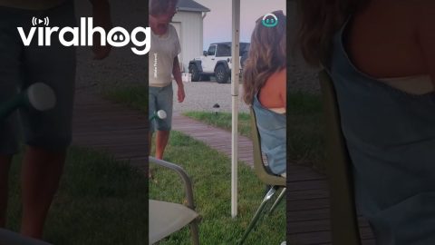 Garden Light Magically Turns On || ViralHog