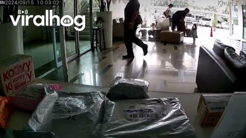 Man Walks Through Glass Door by Accident || ViralHog