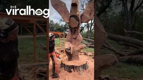 Chainsaw Wood Sculpture of Columbaire Hand Throwing Pigeon || ViralHog