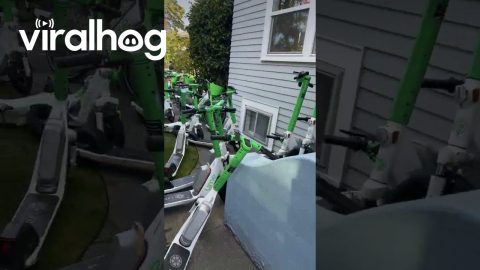 E-Scooters Left In Piles Around Pranked House || ViralHog