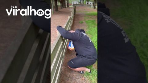 Family Laughs At Zip Line Fail || ViralHog