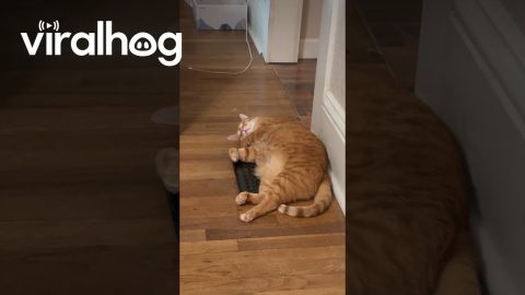 The Moment When You Turn on the Heat on in Fall || ViralHog