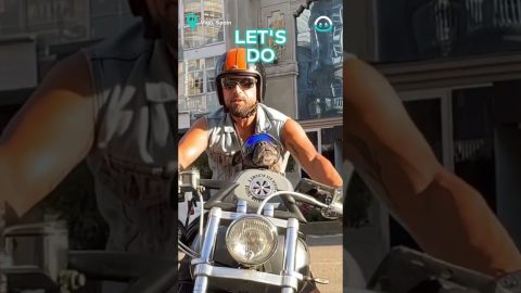 Doggo Loves To Ride || ViralHog
